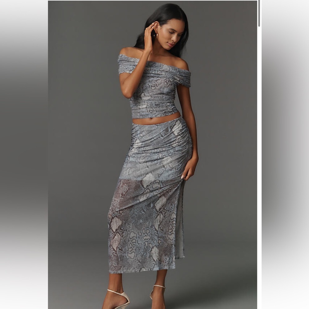 NWT ✨ Anthropologie The Aleda Mesh Ruched Maxi Skirt by Maeve